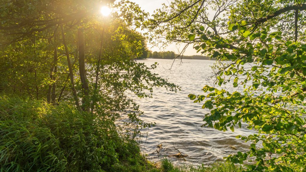 Lake Ukiel