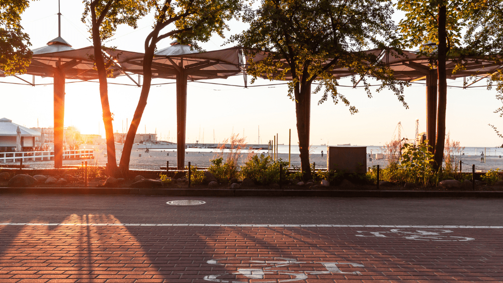 Nature break in Gdynia