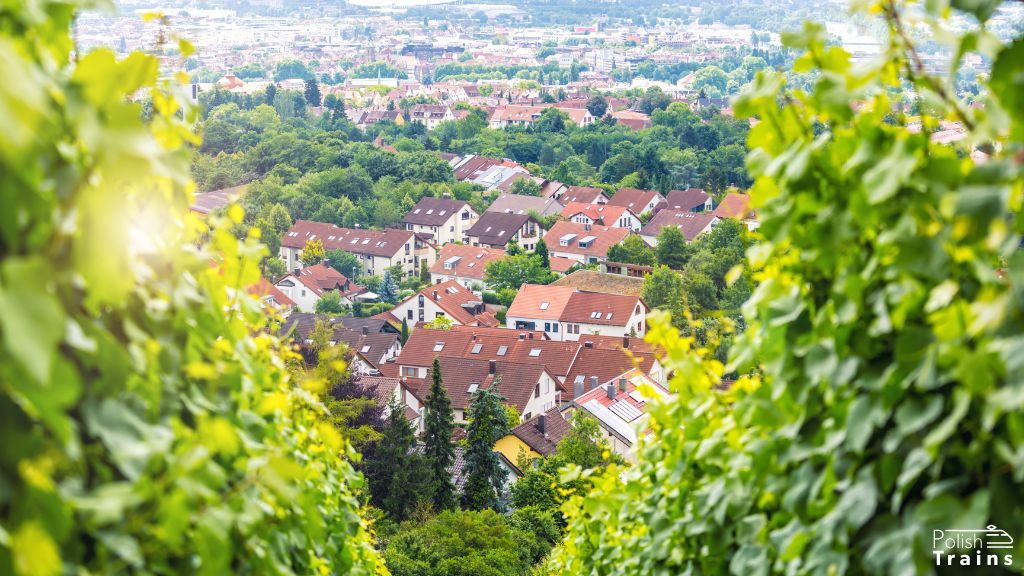 Traditional food of Stuttgart