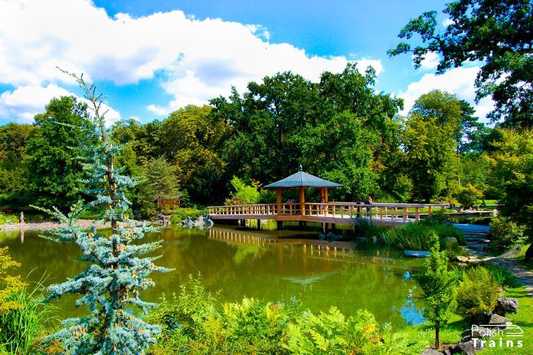 Japanese garden