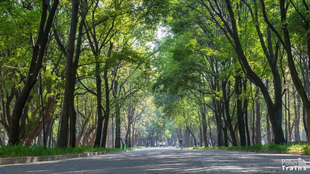 Eilenriede City Forest