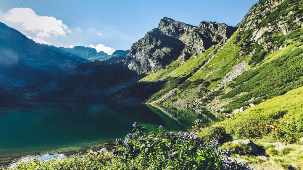 Kościeliska Valley and Chochołowska Valley