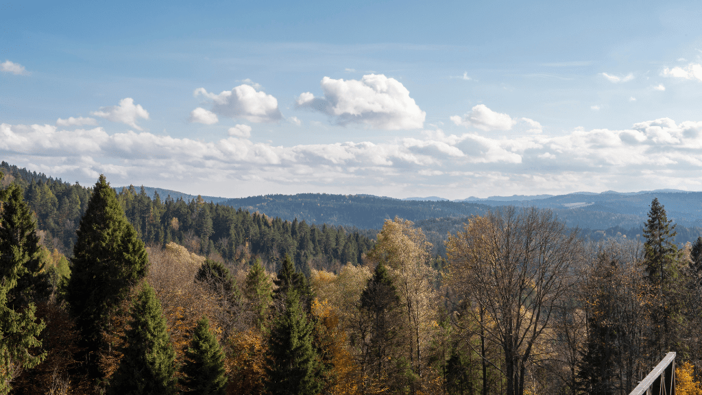 Parkowa Mountain in Krynica