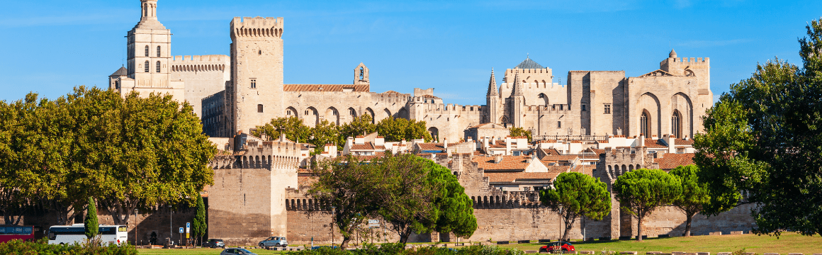 Panoramic Avignon