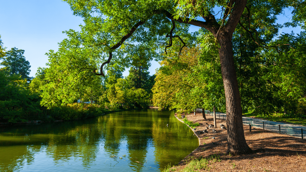 Bordeaux Park and Public Garden