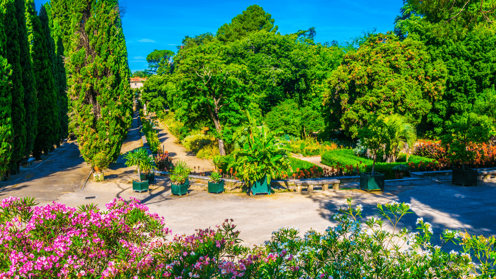 Montpellier Botanical Garden