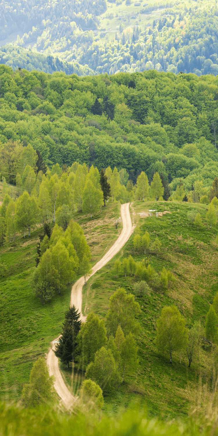 Przemyśl