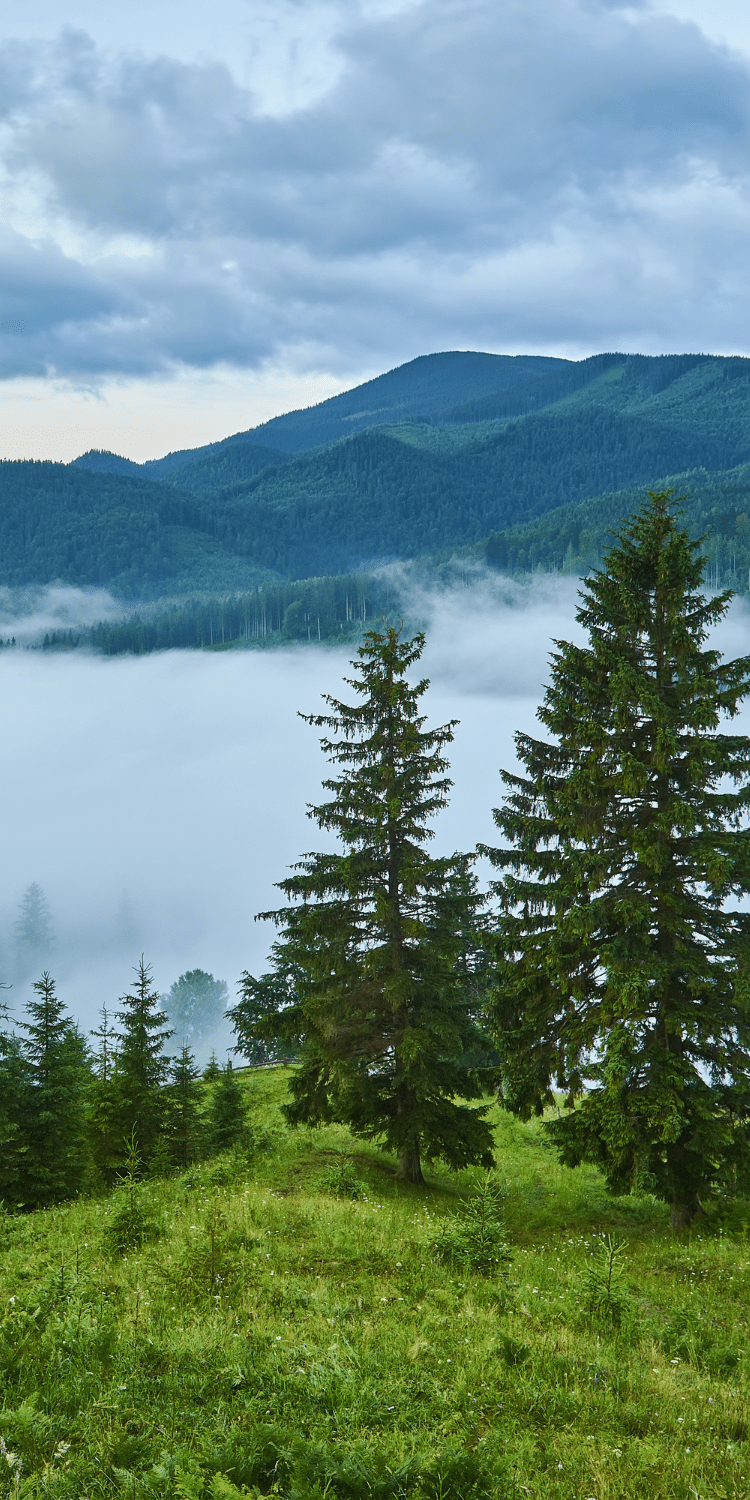 Zakopane