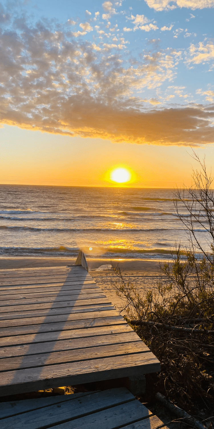 Why is it good to choose a train for a nature break?